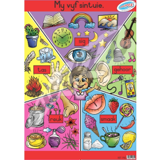 MY VYF SINTUIE - MUURKAART  